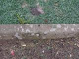 image of grave number 795028